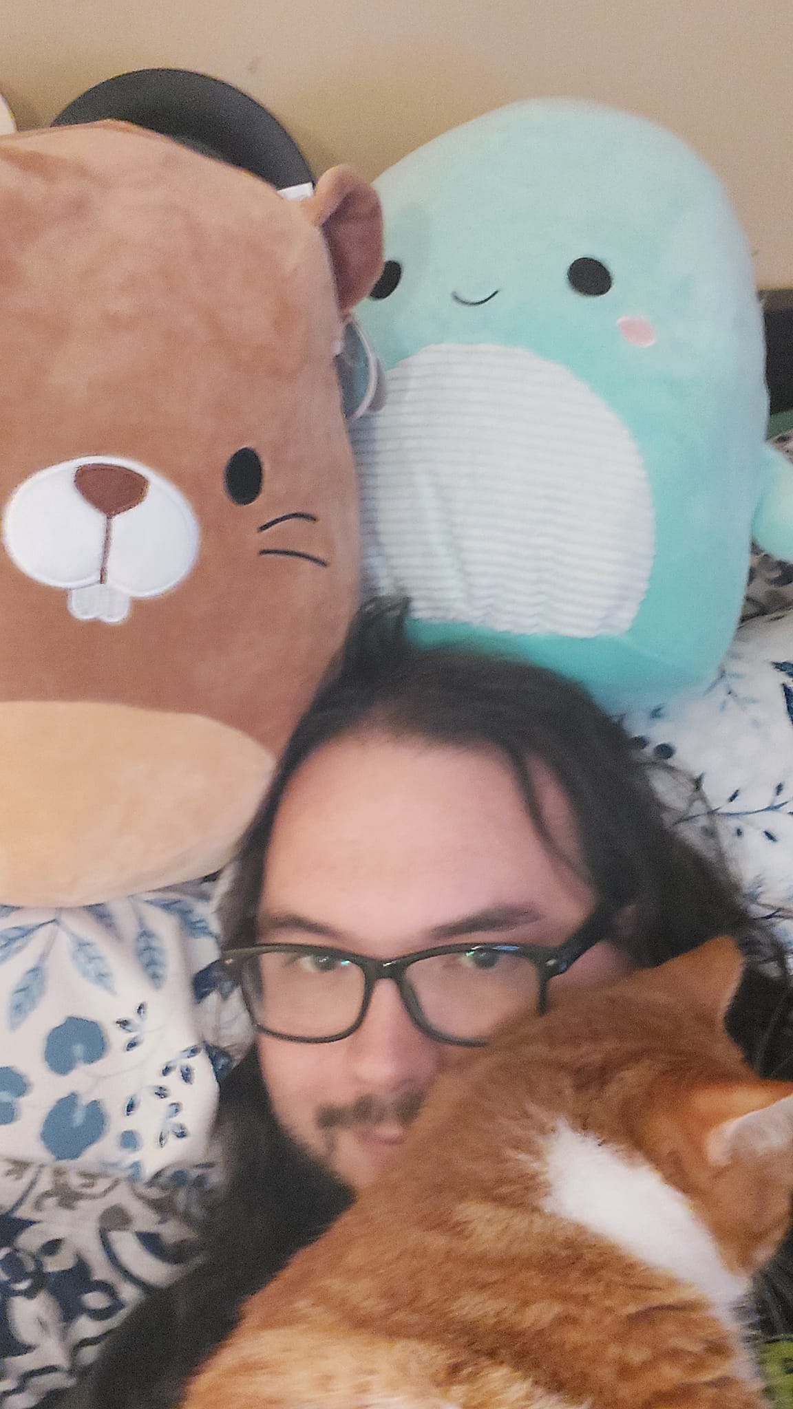 A man with long dark hair and a beard lies in bed with two Squishmallows, a beaver and a Nessie, and an orange cat, photo 1